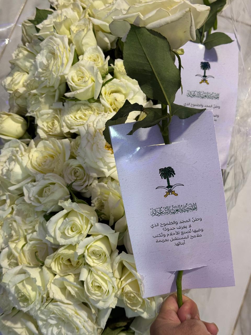 جامعة الدلتا للعلوم والتكنولوجيا 3