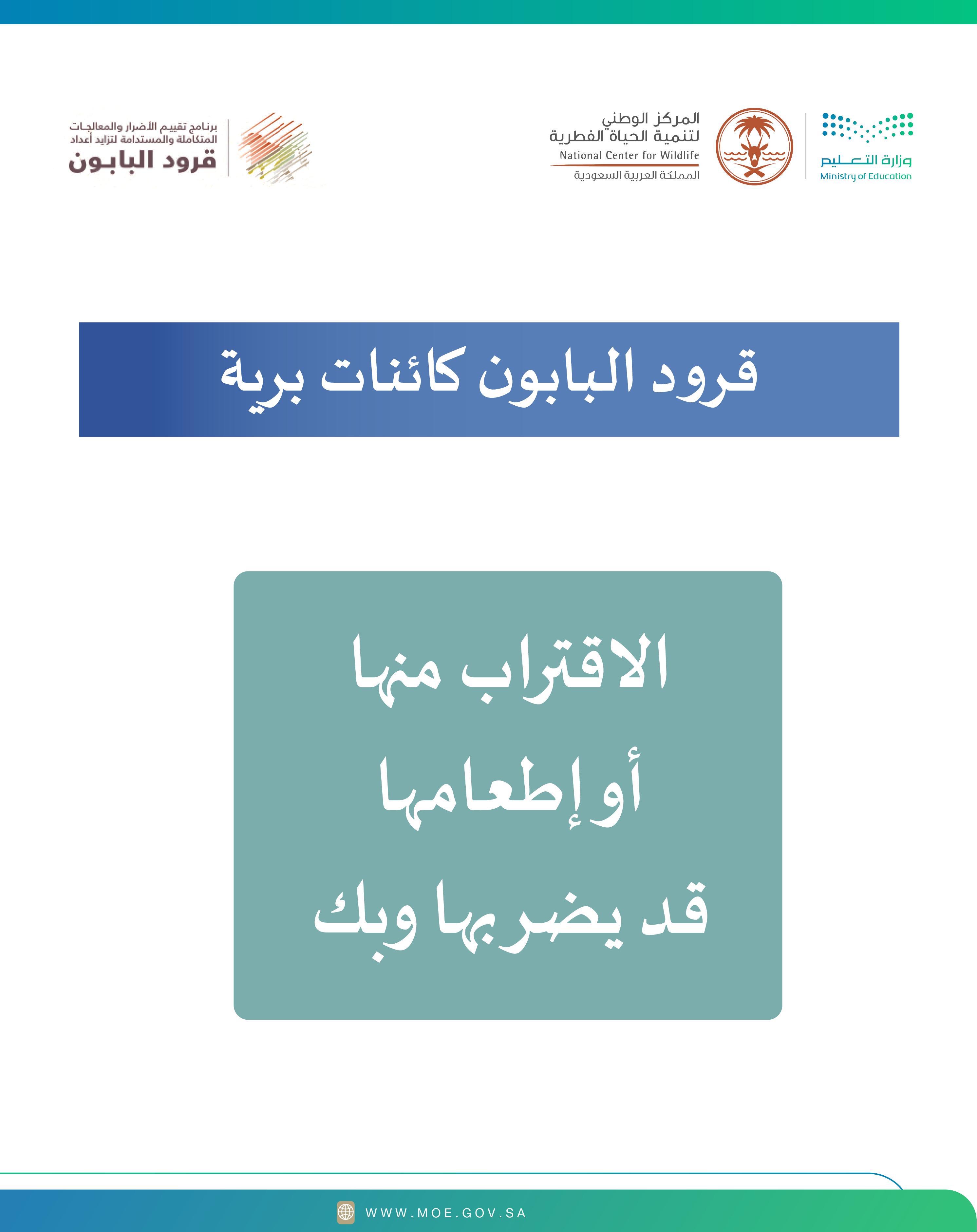 تعليم الطائف يطلق رسائل توعوية لمكافحة إطعام قرود البابون