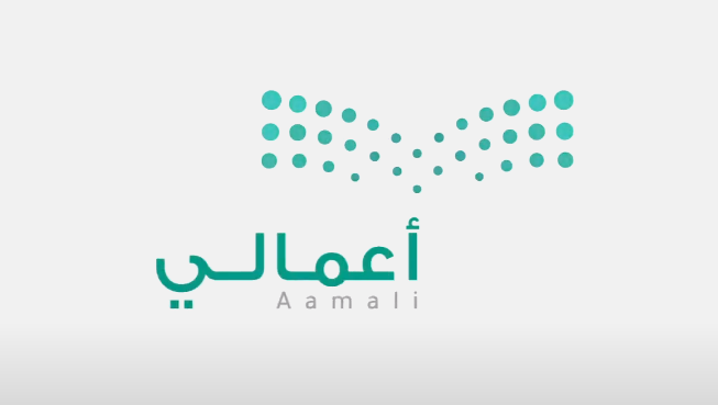 نظام أعمالي