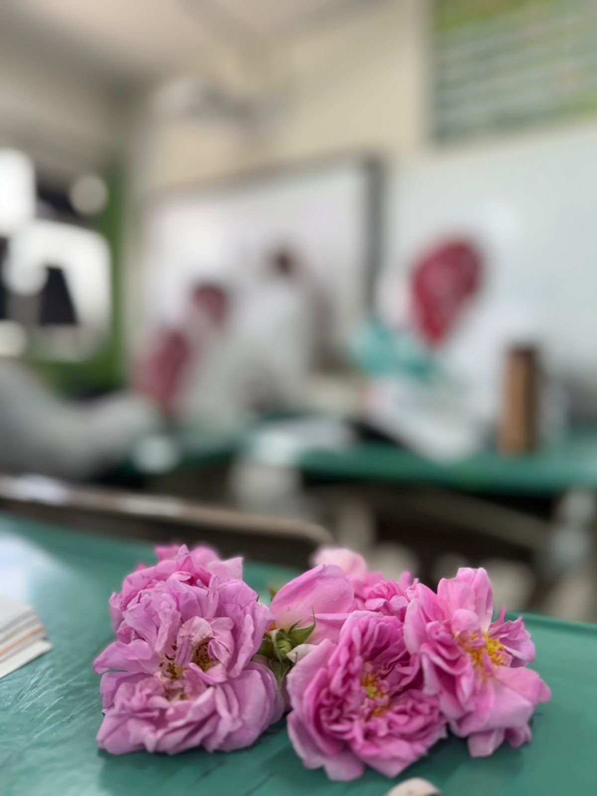 مدارس تعليم الطائف  تفوح عطراً بالورد بمشاركة أكثر من ربع مليون طالب وطالبة